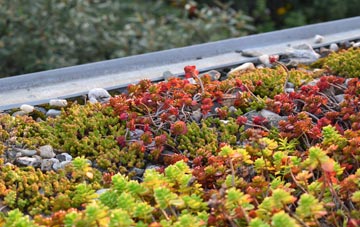 the cost of Martin Drove End green roof installation