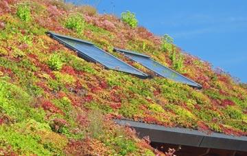 Martin Drove End living roof systems
