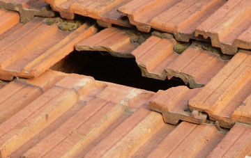 roof repair Martin Drove End, Hampshire