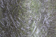 Martin Drove End fibreglass roof work